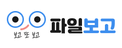 파일보고